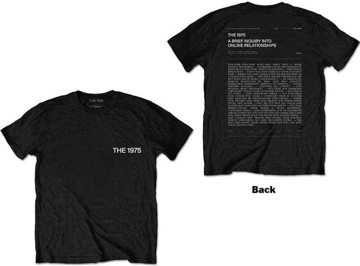 The 1975 A Brief Inquiry