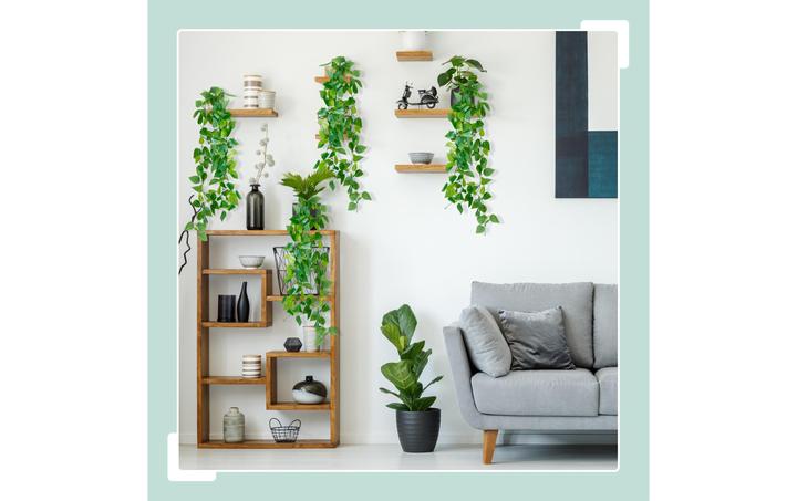 Immagine prodotto Relaxdays Efeutute (100 cm)