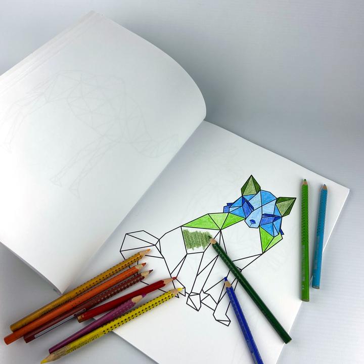 Produktbild Polygone Tiere zum Ausmalen