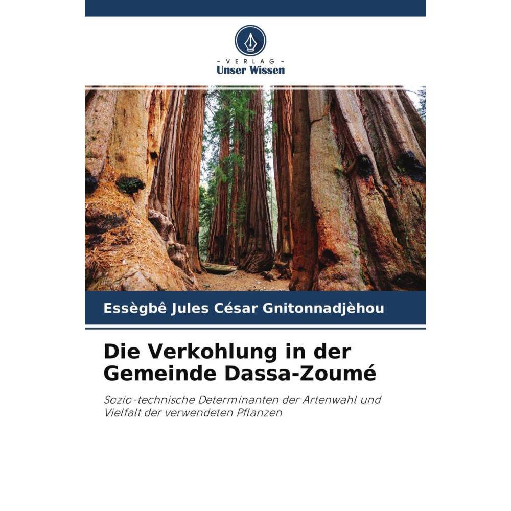 Die Verkohlung in der Gemeinde Dassa-Zoumé, Fachbücher von Essègbê Jules César Gnitonnadjèhou