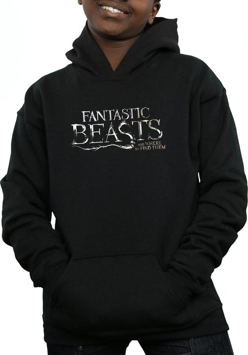 Actual product image Fantastic Beasts Boys Text Logo Hoodie (152, 158)