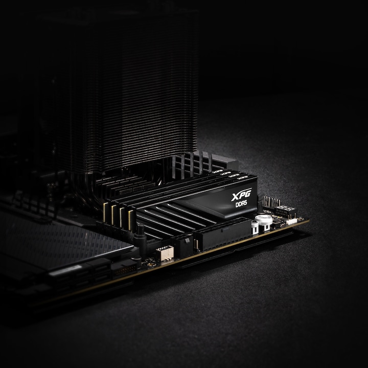 Image du produit Adata DIMM 16 GB DDR5-6000 (noir, AX5U6000C3016G-SLABBK, XPG Lancer Blade, INTEL XMP, AMD EXPO) (1 x 16GB, 6000 MHz, RAM DDR5, DIMM)