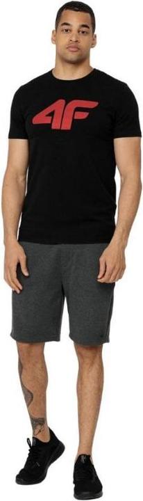 Actual product image 4F Koszulka męska H4Z22-TSM353 Czarny r.M (M)