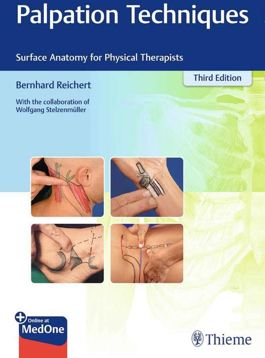 Actual product image Palpation Techniques (English, Bernhard Reichert, Wolfgang Stelzenmüller, 2021)