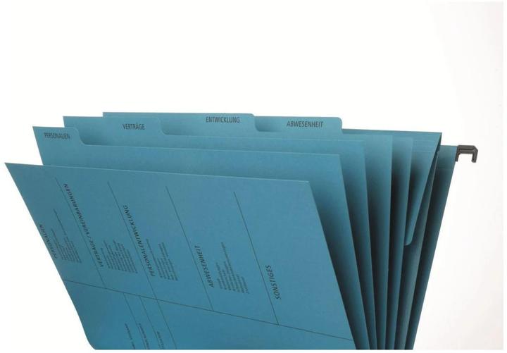 Pagna Fascicolo personale A4 Blu (A4, 1 x)
