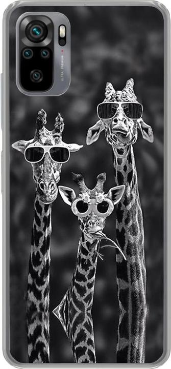3 giraffes