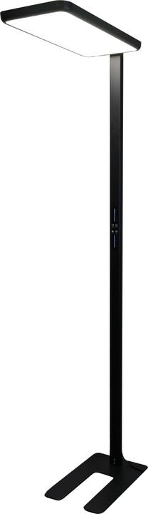 Luxula LED Büro-Stehleuchte, Up/Down, schwarz (7000 lm)