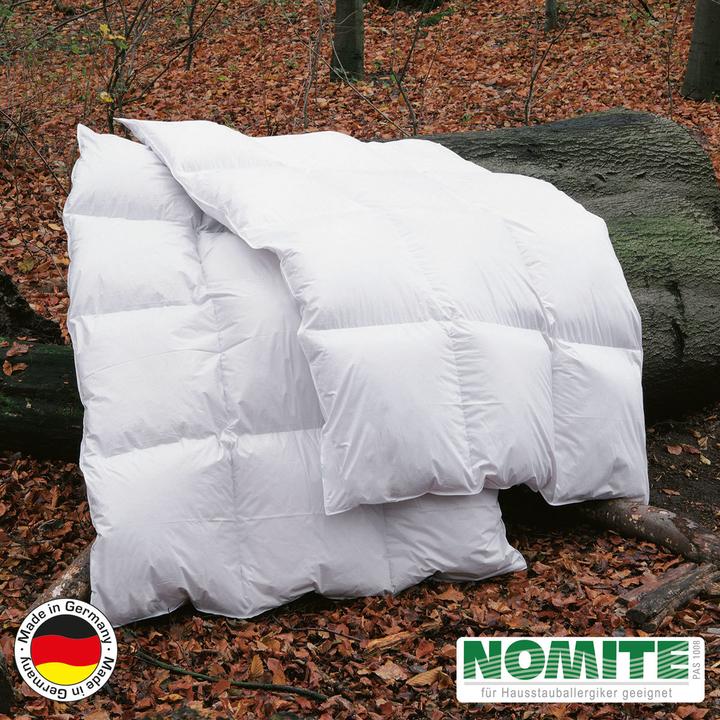 Produktbild BettwarenShop Polar (1800 g, 135x200 cm)