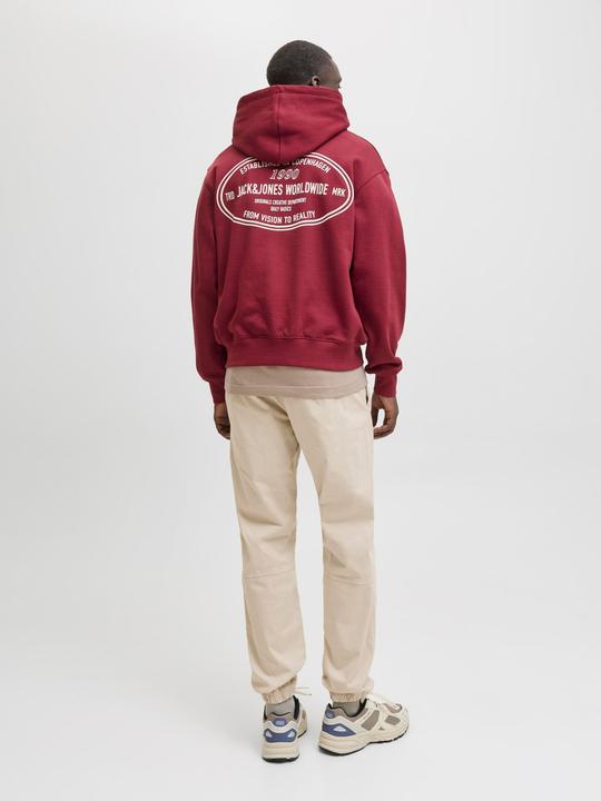 Actual product image Jack & Jones Jpstkane Troy Cuffed Jogger Sn (XS)