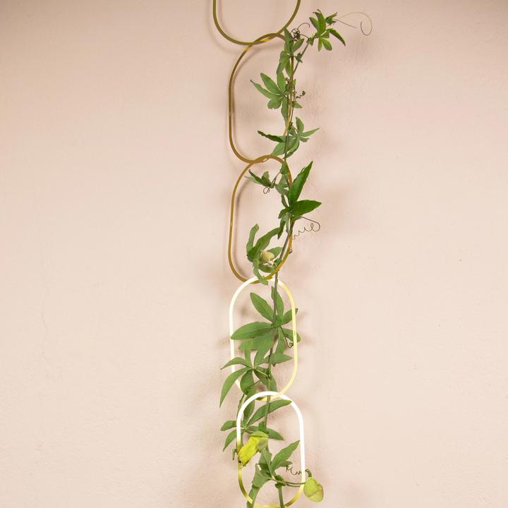 Produktbild Botanopia Rankhilfe
