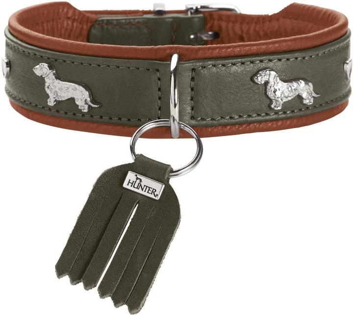 Image du produit Hunter Collier Teckel München 37/XS-S, cuir de boeuf, vert/cognac (Chien, Général)