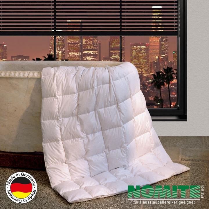 Actual product image BettwarenShop Canada (350 g, 155 x 220 cm)