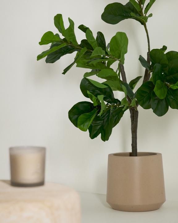 Image du produit Kave Home Ficus (150 cm)