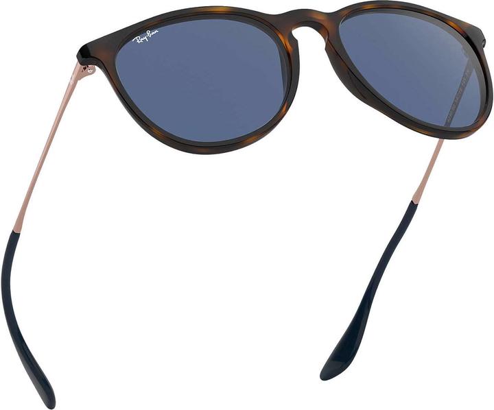 Image du produit Ray Ban Erika
