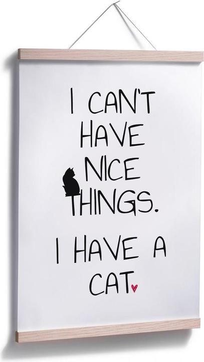 Produktbild Trenddeko I can't have nice Things - Cat (30 x 45 cm)
