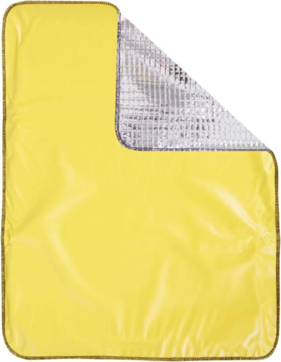 Produktbild Söhngen 0706003 APOLLO-THERMO Sitzkiss (45 x 35 cm)
