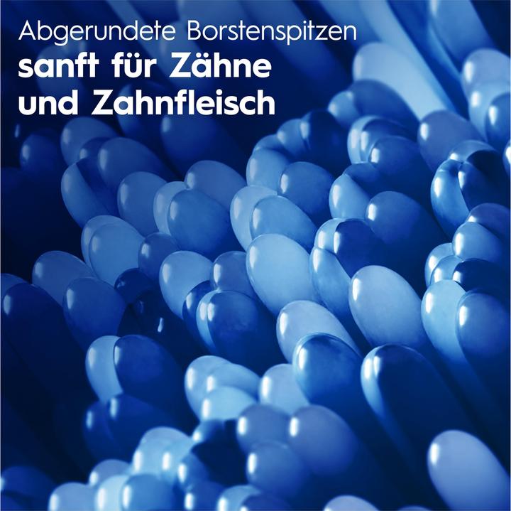 Produktbild Oral-B Pro-Clean Pulsar (1x)