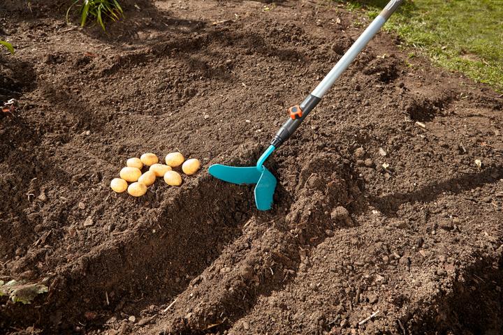 Actual product image Gardena Gardino