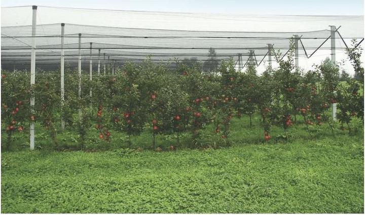 Immagine prodotto Windhager Rete antigrandine