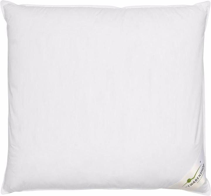 Actual product image BettwarenShop 3-chamber cushion Select (80 x 80 cm)