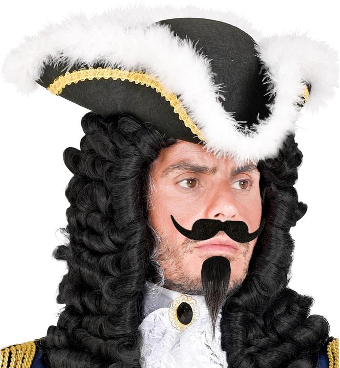 Immagine prodotto Widmann Baffi e pizzetto da moschettiere