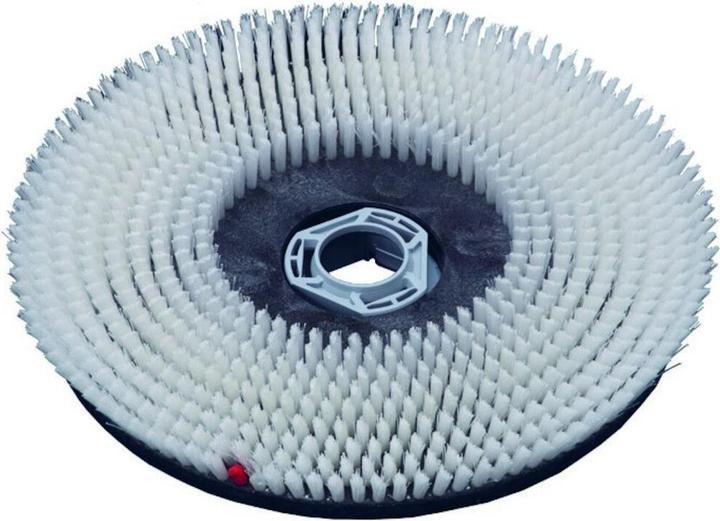 Taski Brosse à récurer béton lavé 43 cm pour béton lavé pour swingo 1850 / 4000
