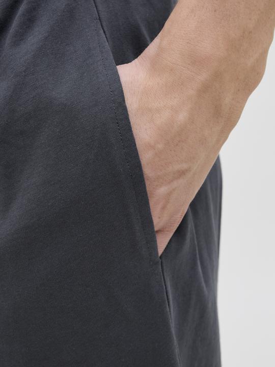 Produktbild Jack & Jones Regular Fit Shorts Shorts (L)