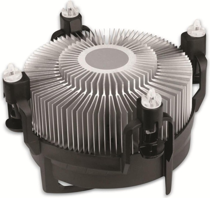 Actual product image Arctic Alpine 17 (77 mm)