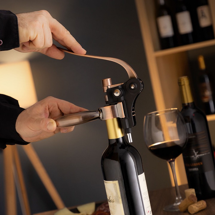 Actual product image InnovaGoods Set of wine accessories - Servin (Wine aerator, Wine pourer)