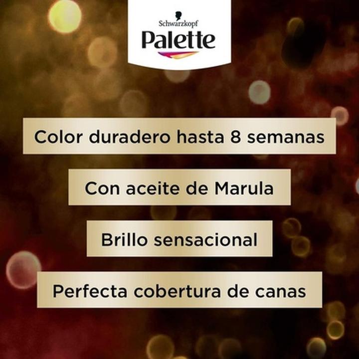 Produktbild Palette INTENSIVE tinte #10-rubio muy claro (10-rubio muy claro)