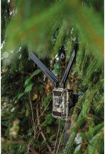 Produktbild Dörr Antenne – SnapShot Cloud 4G