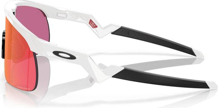 Actual product image Oakley Resistor (Polished white, White glossy, prizm field)