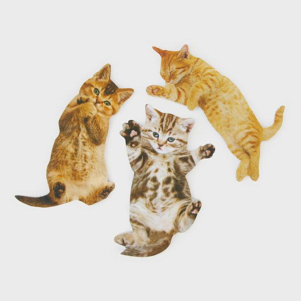 Actual product image Suck UK Cat Purrfect Nails