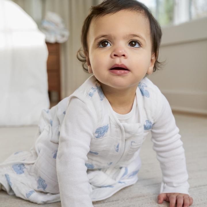 Actual product image aden + anais Light sleeping bag (105 cm)