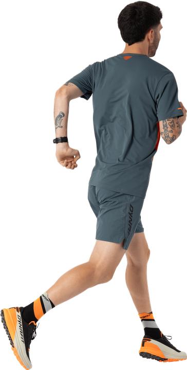 Produktbild Dynafit Alpine Shorts (46, S)