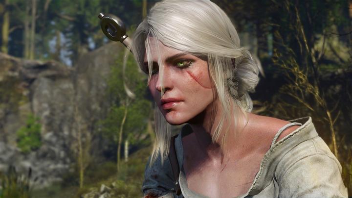 Image du produit Bandai Namco The Witcher 3 : Wild Hunt - Édition jeu de l'année (PS4, EN)