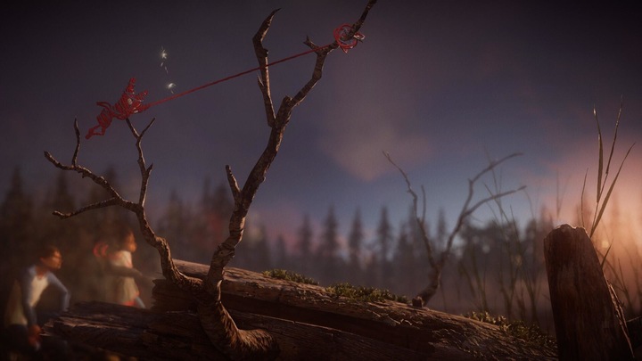 Actual product image EA Games Unravel Two (Switch, Switch Lite, Switch OLED, EN)