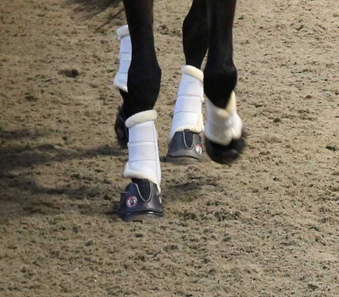 Actual product image Equine Fusion Hoof shoe Active pair
