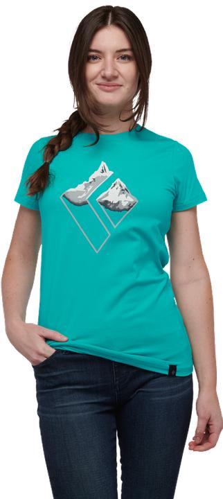 Black Diamond W Mountain Logo Ss Tee (XL)