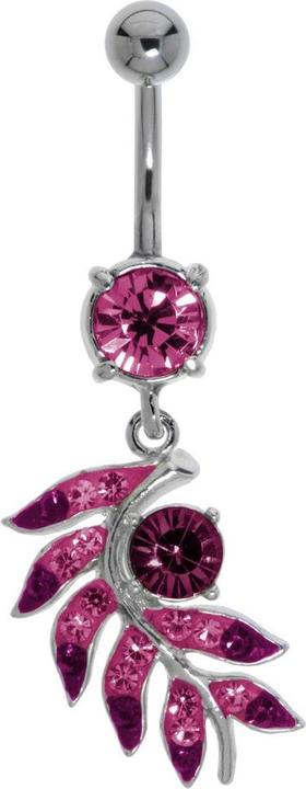 silberfarbig, Fuchsia