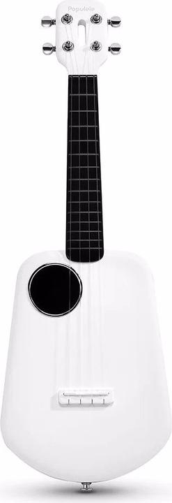 Actual product image Populele Plus (Electrical)