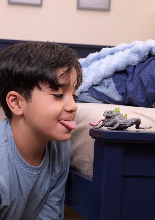 Image du produit Schleich Stein-Kröte