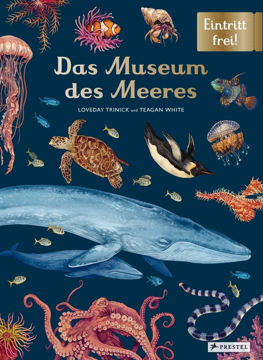 Produktbild Das Museum des Meeres (Deutsch, Loveday Trinick, Teagan White, 2021)