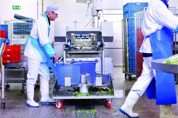 Actual product image Dunlop NIMWEGEN PU-STIEFEL Purofort® CA61131 (S4, 42)