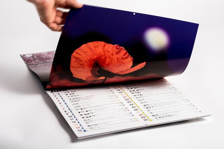 Image du produit L'année lunaire 2026 - Calendrier mural (32 x 28 cm)