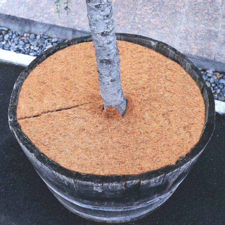 Actual product image Aquagart 1 Kokos Mulchscheibe 60cm Kokofasermatte Kokosfaser Pflanzenschutzmatte Kokos