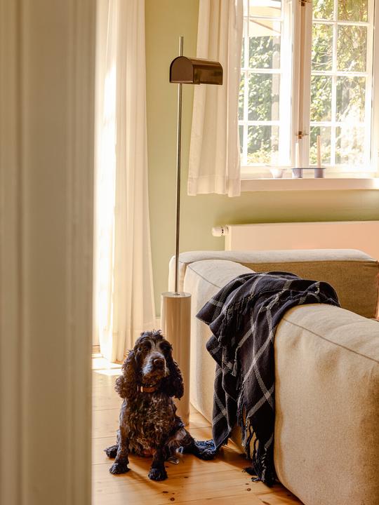 Image du produit Hübsch Reflector Stehlampe Braun