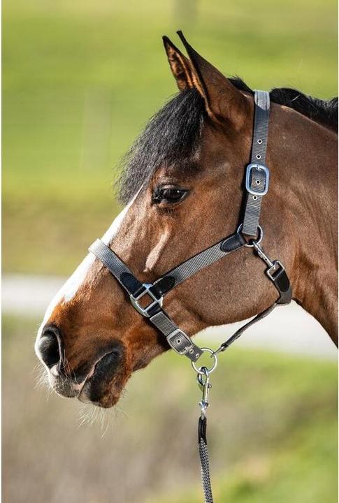 Immagine prodotto HFI Master Neoprene Smart