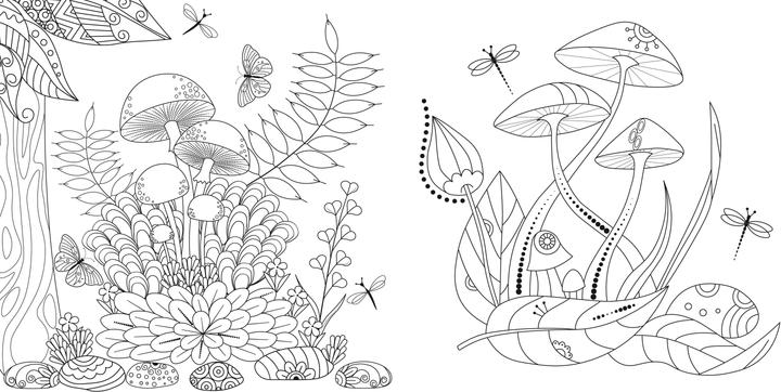 Produktbild Faszinierende Pilze