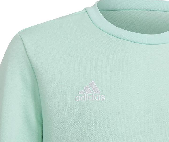 Immagine prodotto adidas Entrada 22 felpa bambini (116)